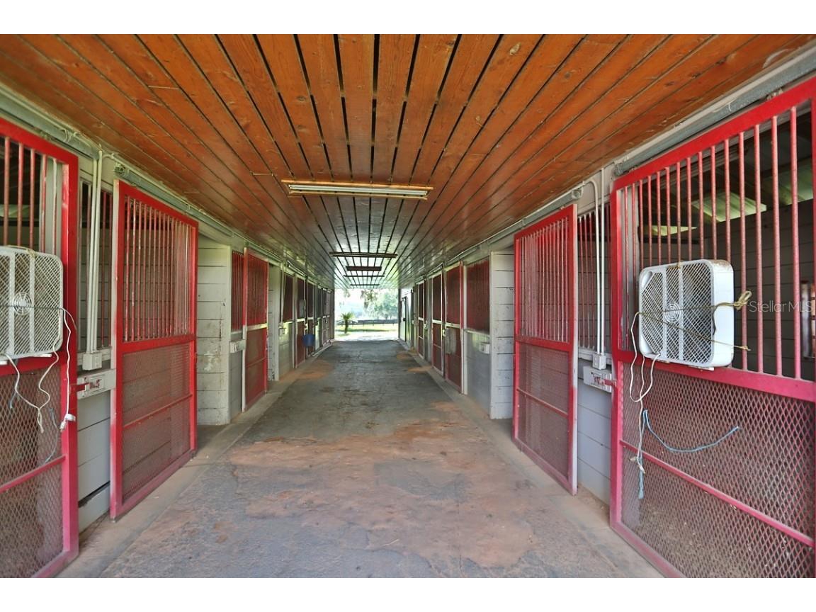 13450 NW Gainesville Road Reddick FL 32686 OM661446 image18