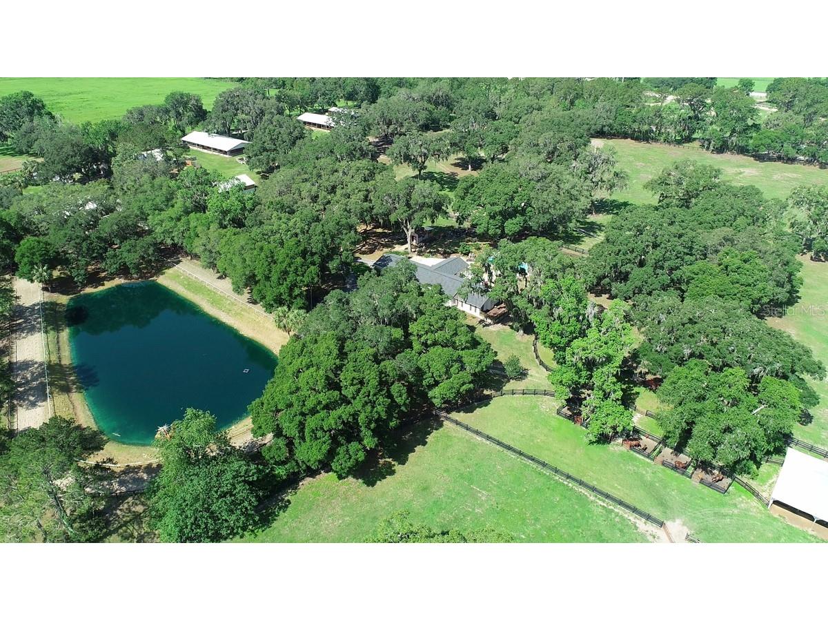 13450 NW Gainesville Road Reddick FL 32686 OM661446 image2