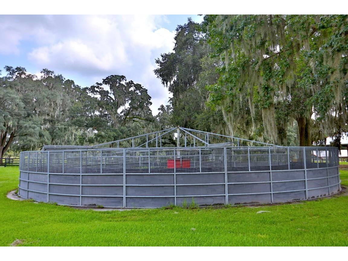 13450 NW Gainesville Road Reddick FL 32686 OM661446 image20