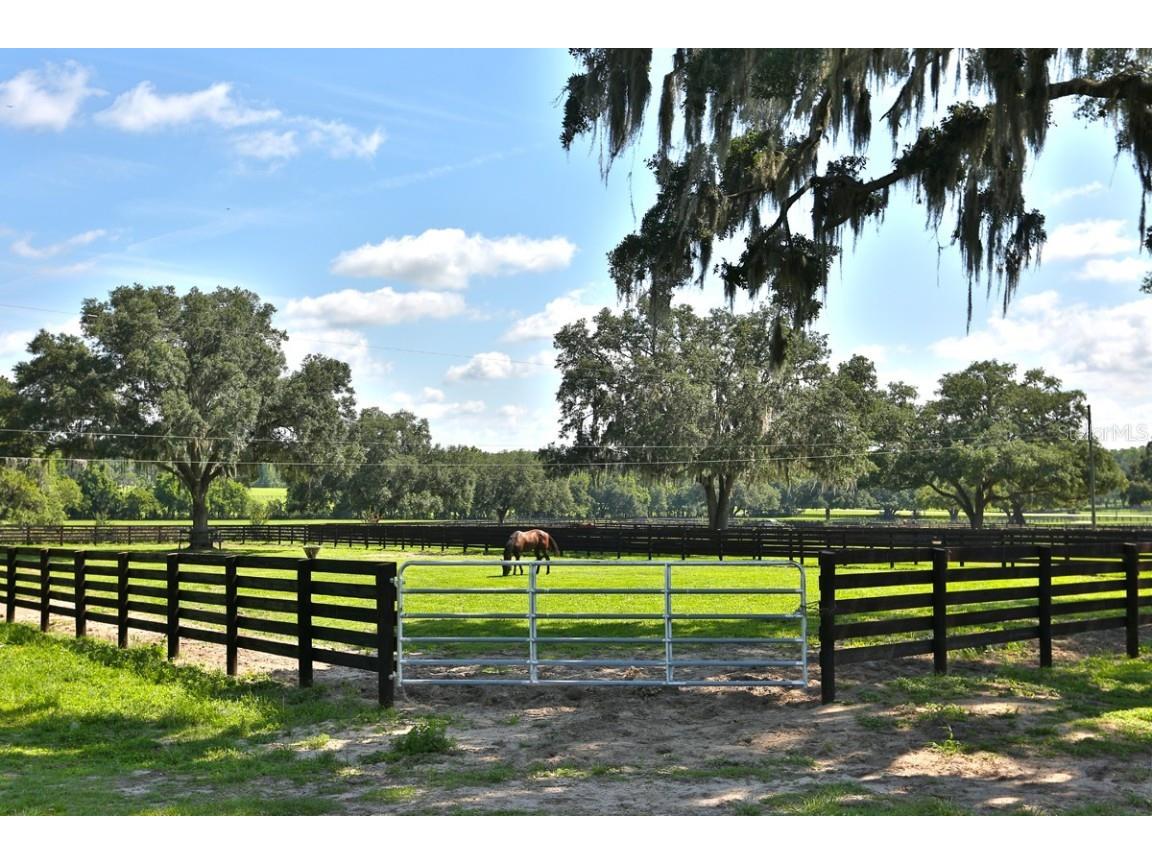 13450 NW Gainesville Road Reddick FL 32686 OM661446 image22