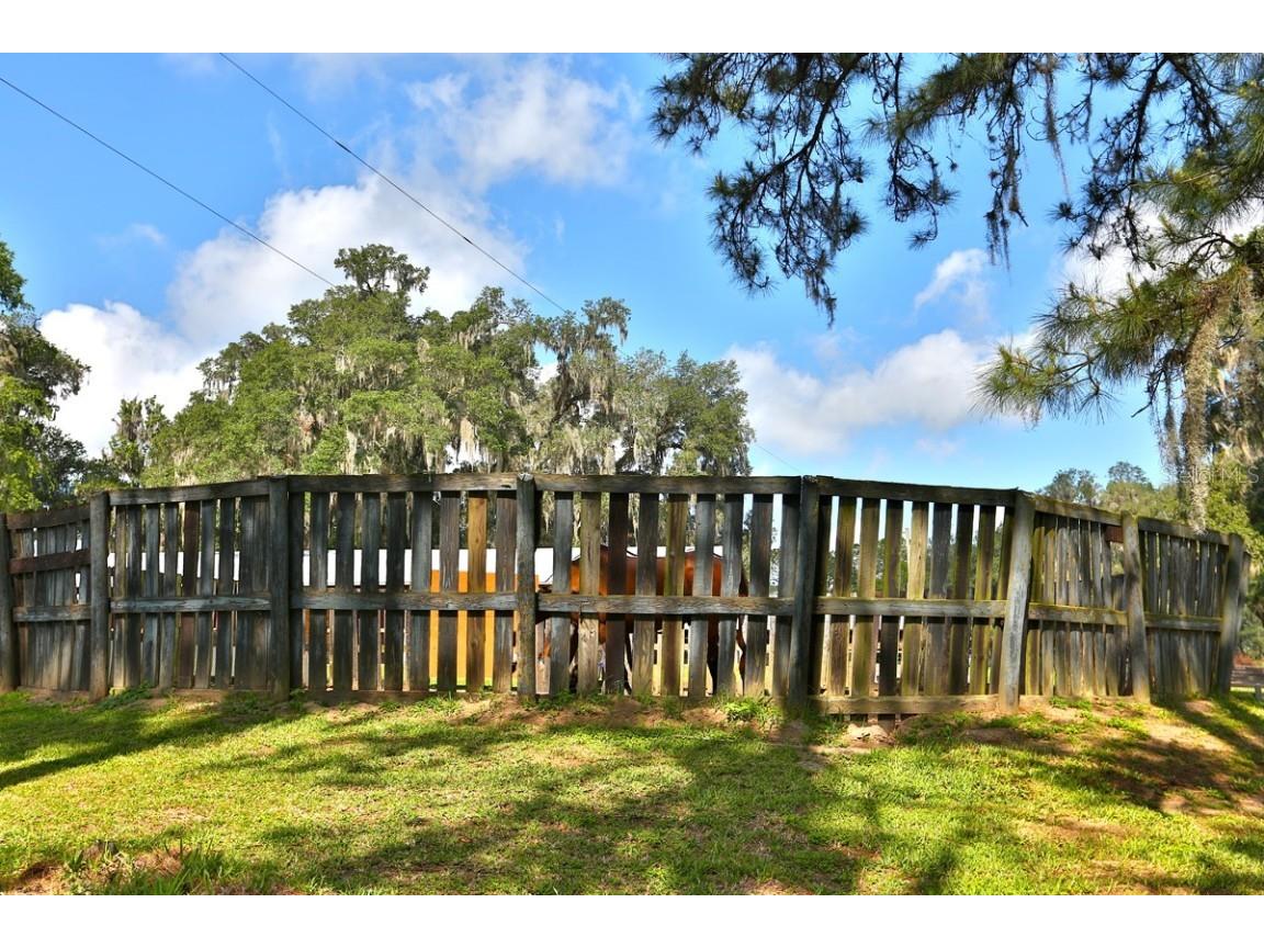 13450 NW Gainesville Road Reddick FL 32686 OM661446 image23