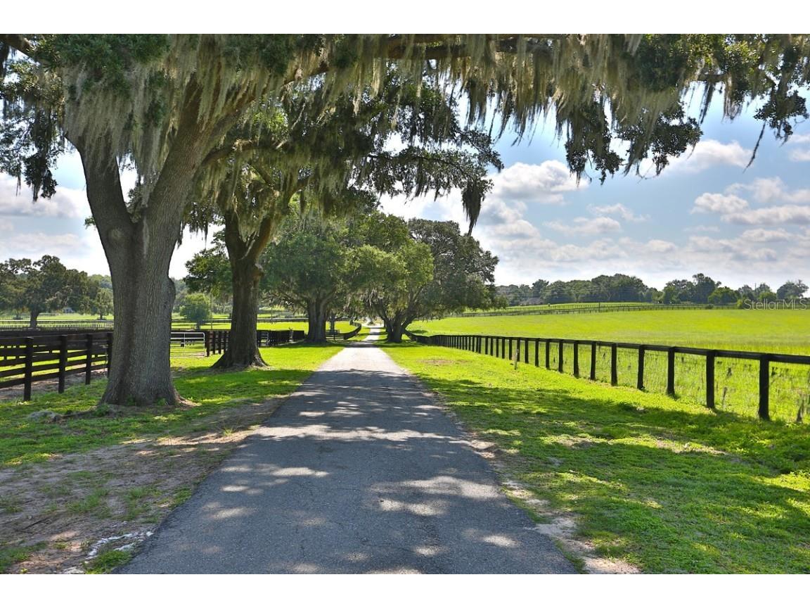 13450 NW Gainesville Road Reddick FL 32686 OM661446 image24