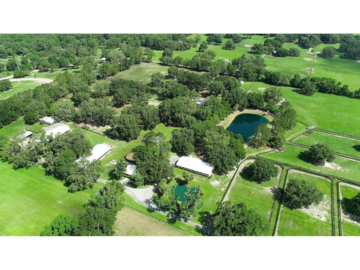 13450 NW Gainesville Road Reddick FL 32686 OM661446 image28