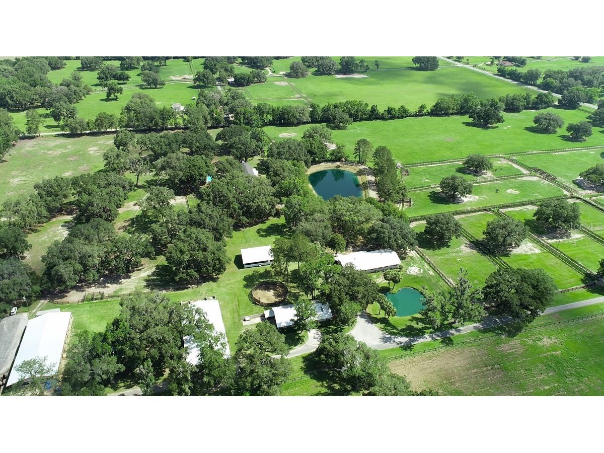 13450 NW Gainesville Road Reddick FL 32686 OM661446 image29