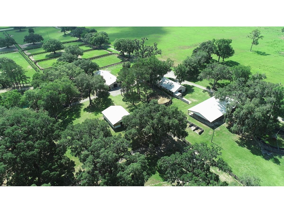 13450 NW Gainesville Road Reddick FL 32686 OM661446 image30