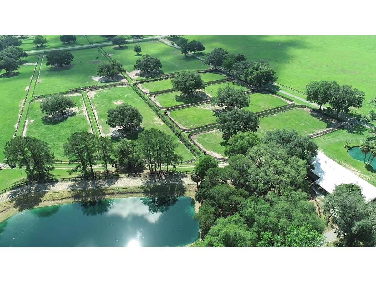 13450 NW Gainesville Road Reddick FL 32686 OM661446 image31