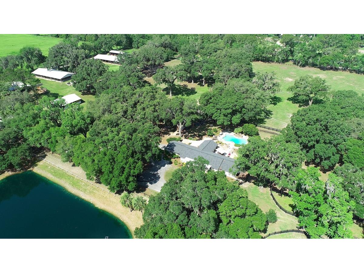 13450 NW Gainesville Road Reddick FL 32686 OM661446 image33