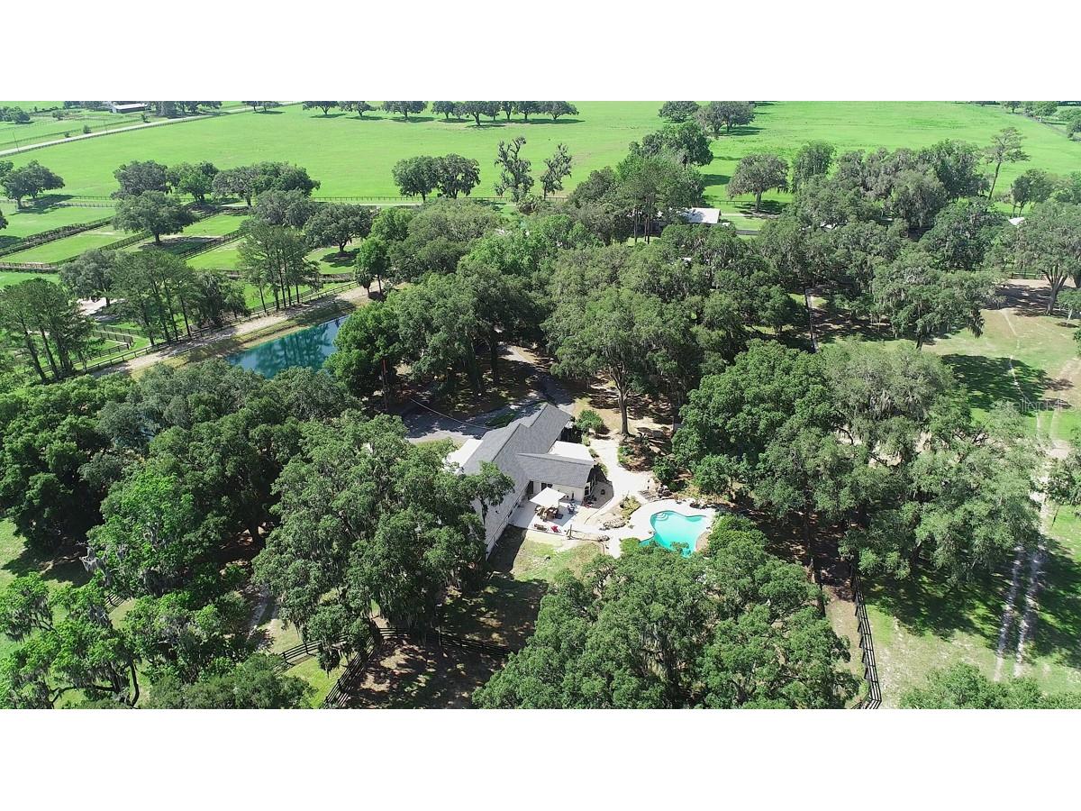 13450 NW Gainesville Road Reddick FL 32686 OM661446 image38