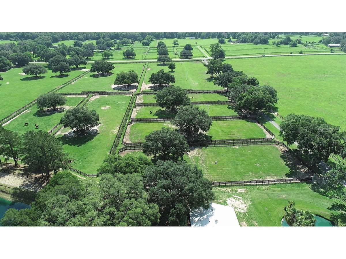 13450 NW Gainesville Road Reddick FL 32686 OM661446 image39