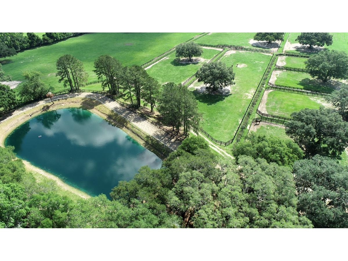 13450 NW Gainesville Road Reddick FL 32686 OM661446 image4