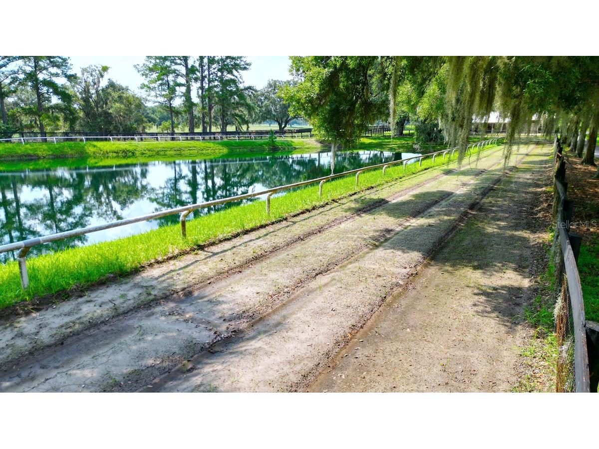 13450 NW Gainesville Road Reddick FL 32686 OM661446 image40