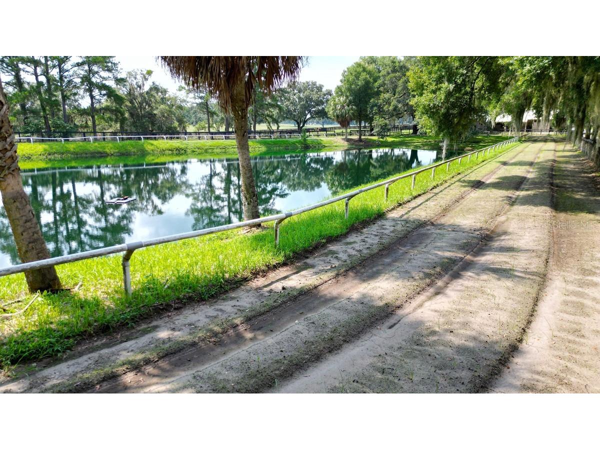 13450 NW Gainesville Road Reddick FL 32686 OM661446 image41