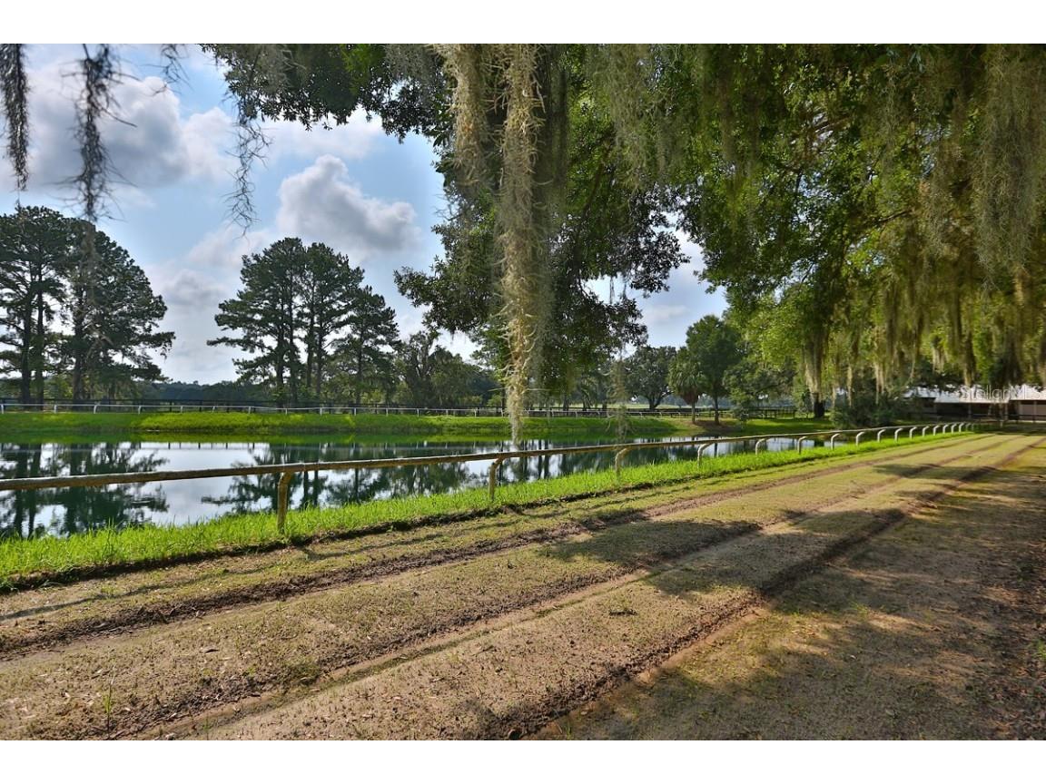 13450 NW Gainesville Road Reddick FL 32686 OM661446 image42