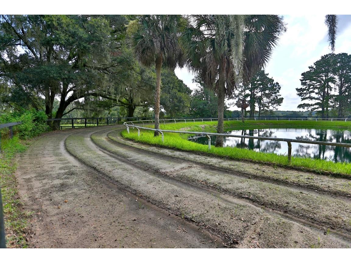 13450 NW Gainesville Road Reddick FL 32686 OM661446 image43