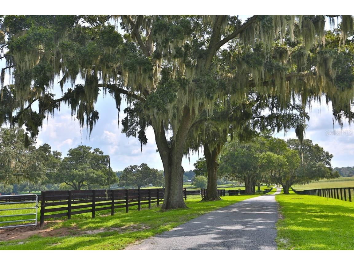 13450 NW Gainesville Road Reddick FL 32686 OM661446 image5