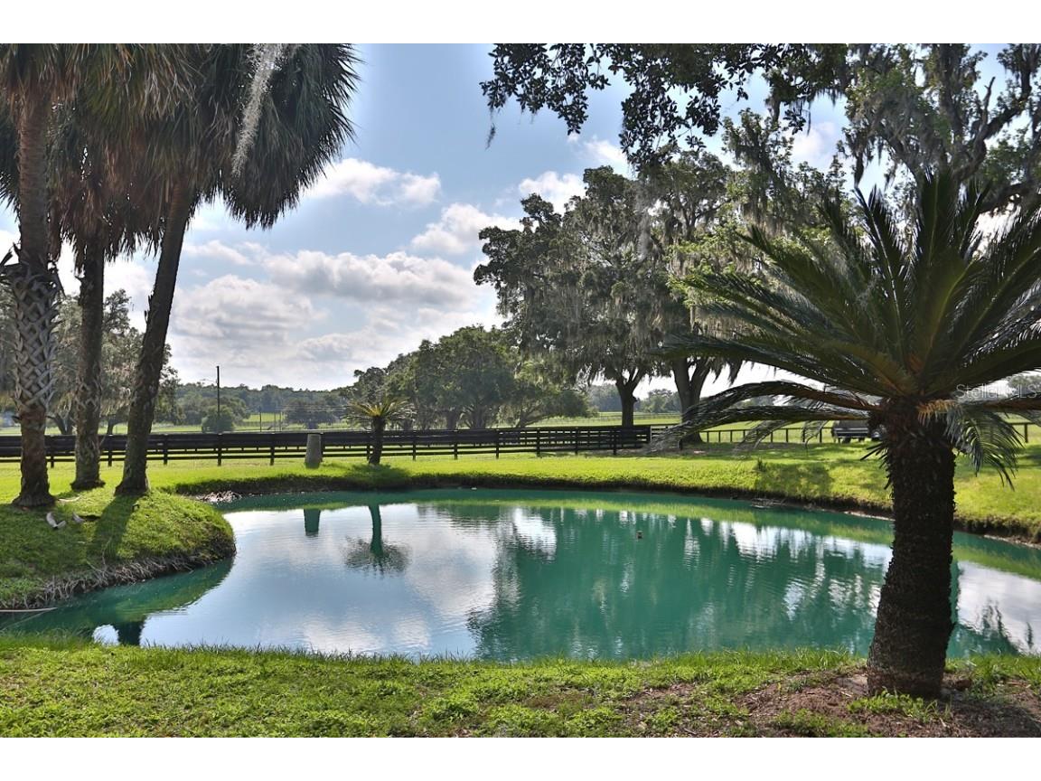 13450 NW Gainesville Road Reddick FL 32686 OM661446 image6