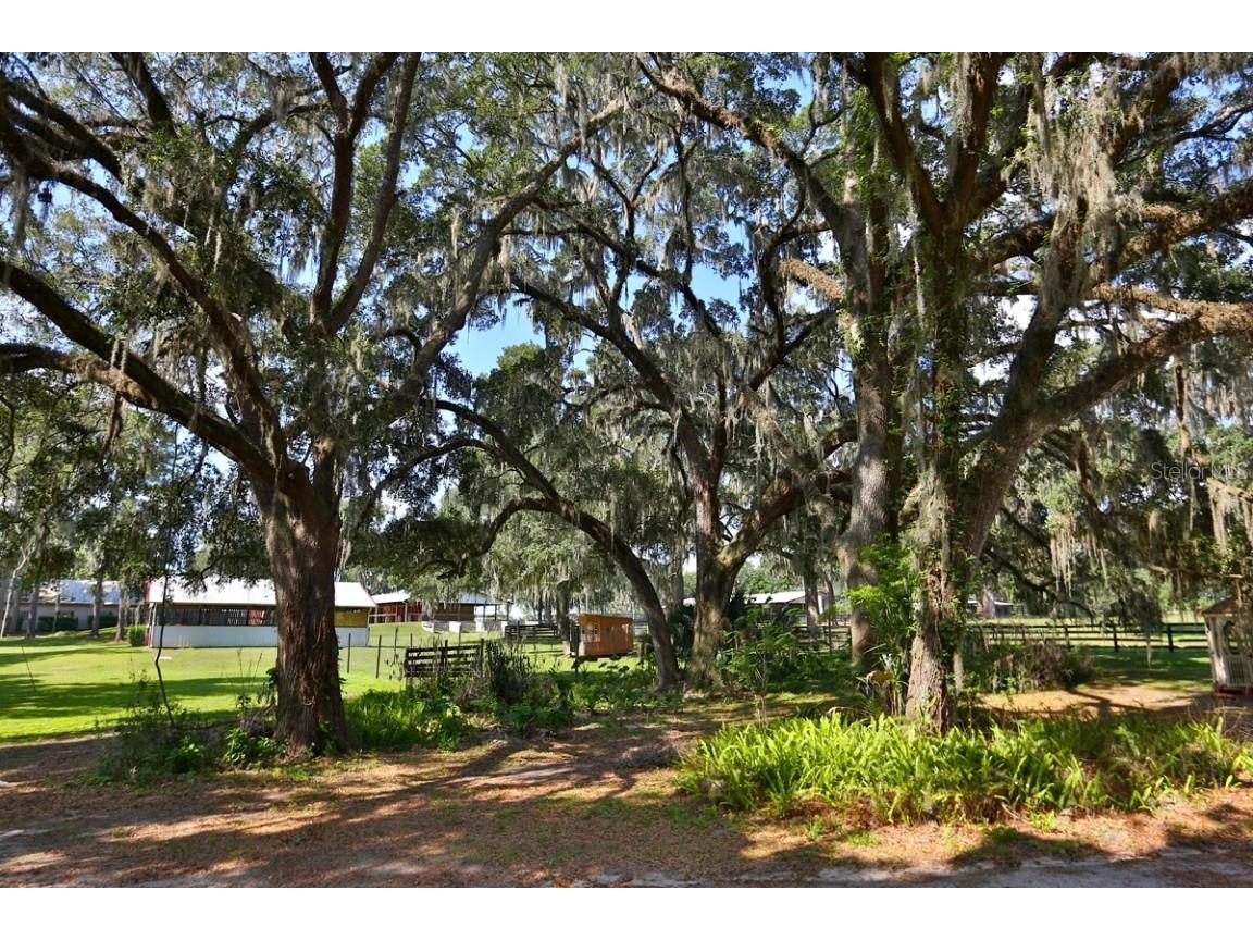 13450 NW Gainesville Road Reddick FL 32686 OM661446 image7