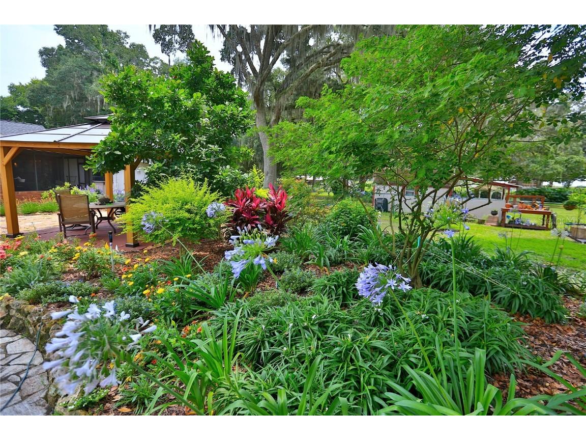 13450 NW Gainesville Road Reddick FL 32686 OM661446 image91