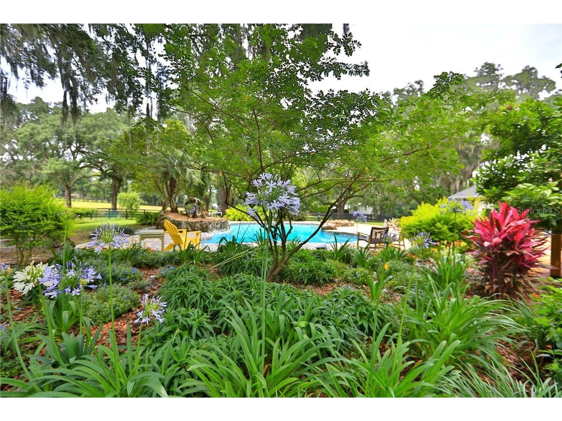 13450 NW Gainesville Road Reddick FL 32686 OM661446 image92