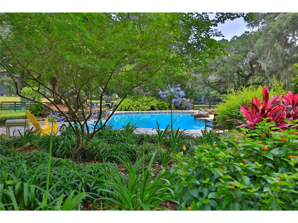 13450 NW Gainesville Road Reddick FL 32686 OM661446 image97