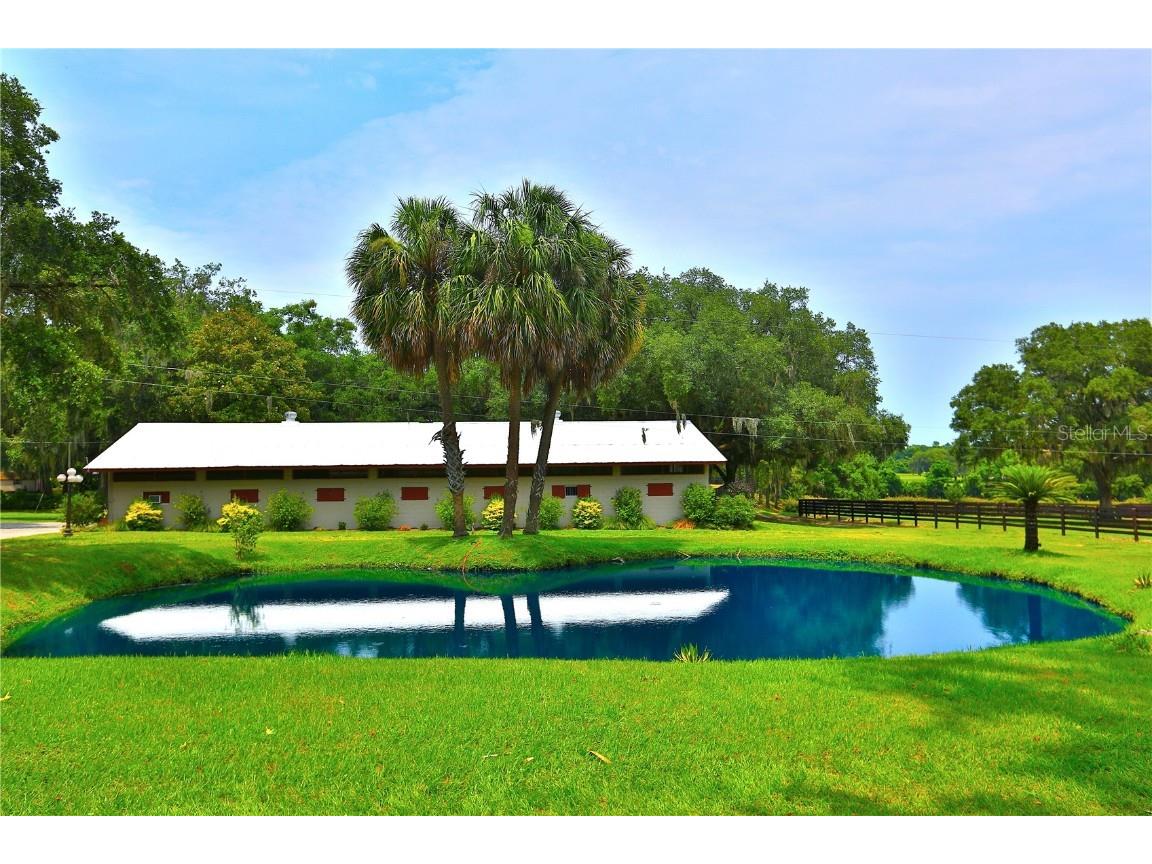 13450 NW Gainesville Road Reddick FL 32686 OM661446 image98