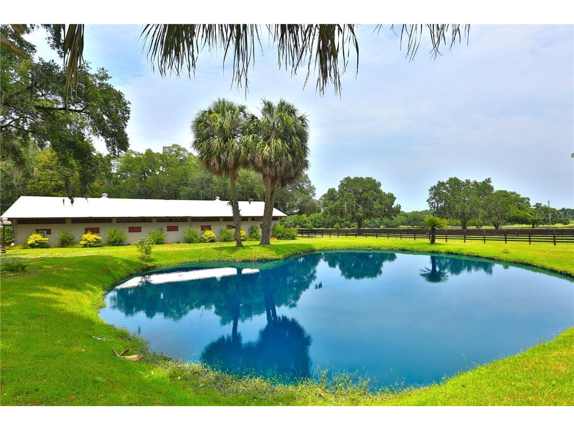 13450 NW Gainesville Road Reddick FL 32686 OM661446 image99