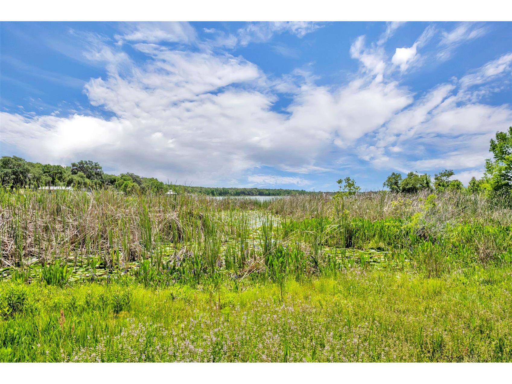 13450 SE 105th Terrace Ocklawaha FL 32179 - LITTLE LAKE WEIR G5111757 image42