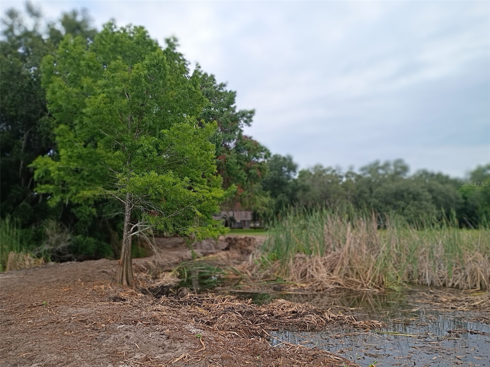 13450 SE 105th Terrace Ocklawaha FL 32179 - LITTLE LAKE WEIR G5111757 image72