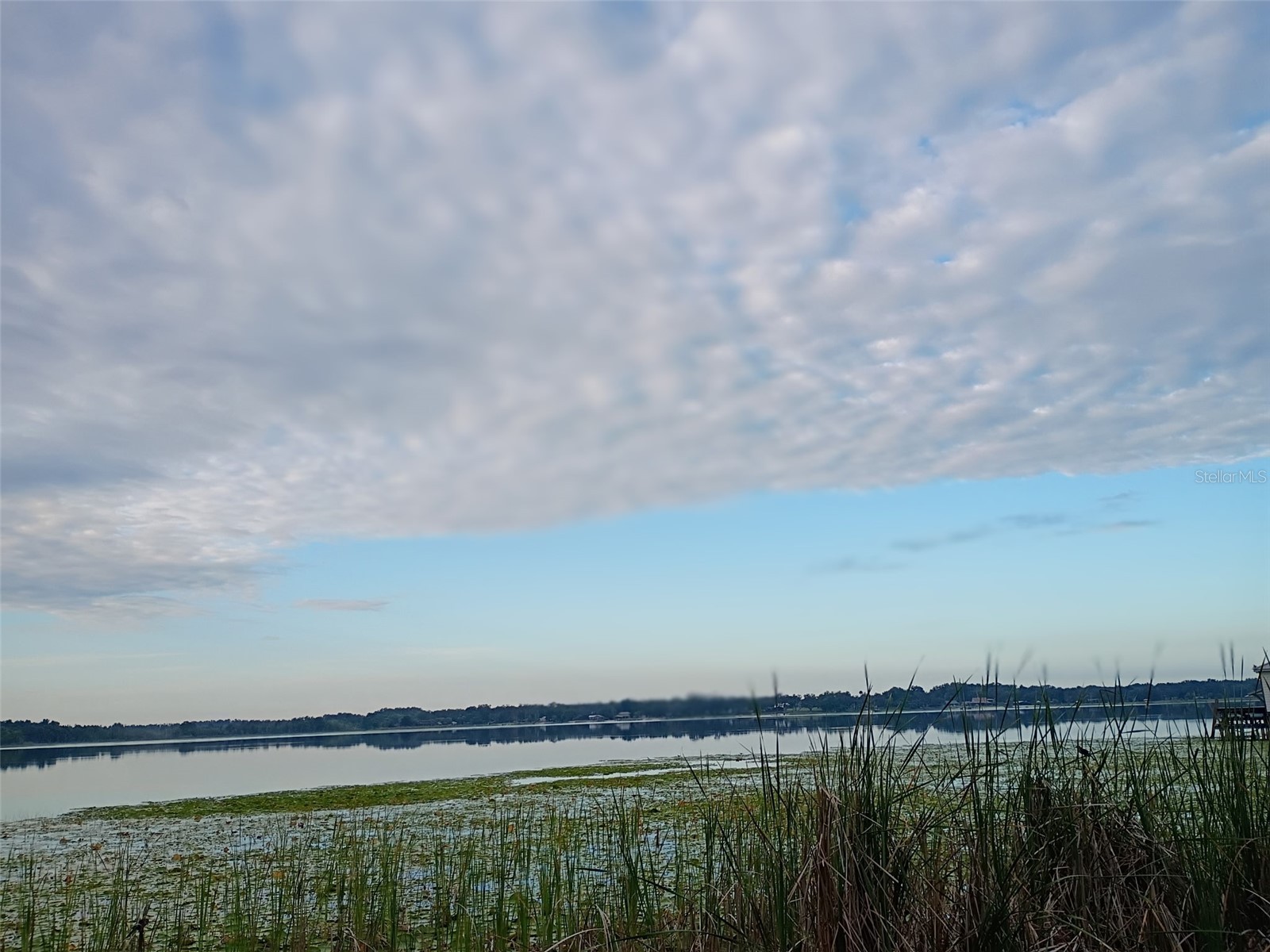 13450 SE 105th Terrace Ocklawaha FL 32179 - LITTLE LAKE WEIR G5111757 image73