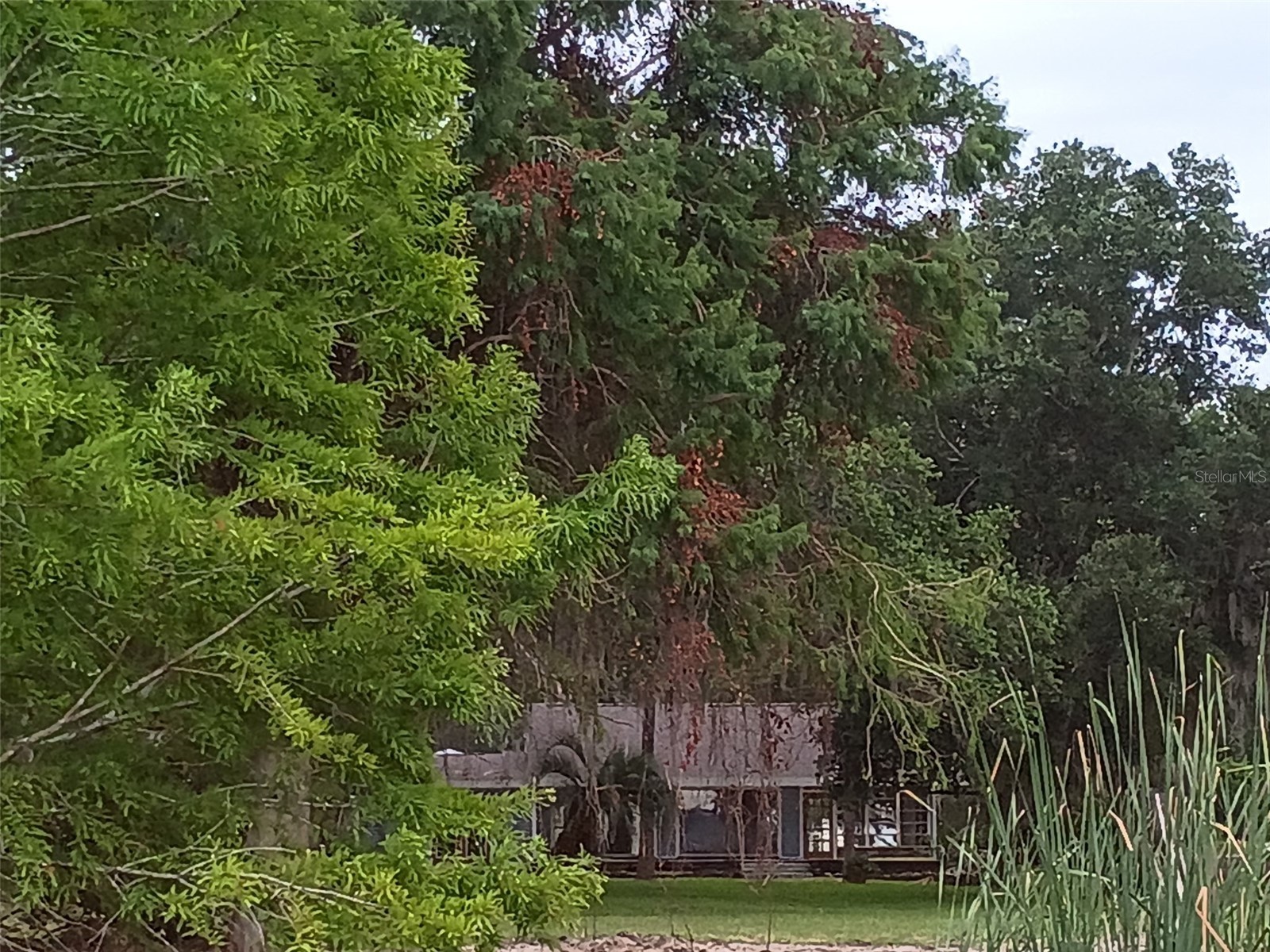 13450 SE 105th Terrace Ocklawaha FL 32179 - LITTLE LAKE WEIR G5111757 image74