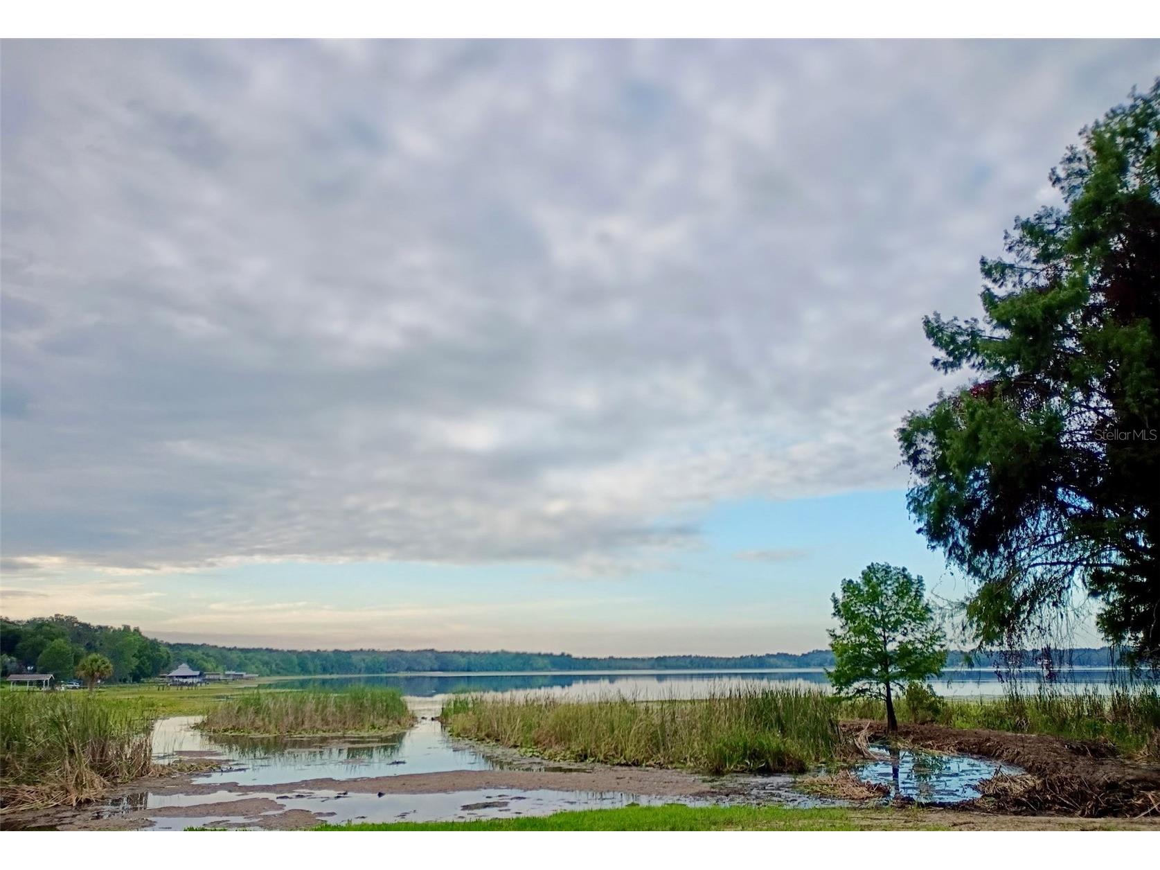 13450 SE 105th Terrace Ocklawaha FL 32179 - LITTLE LAKE WEIR G5111757 image76