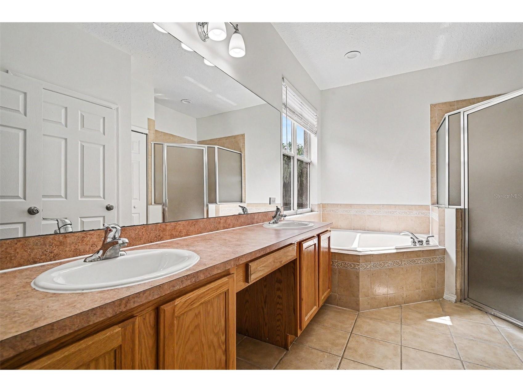 13450 Sunkiss Loop Windermere FL 34786 O6407409 image13