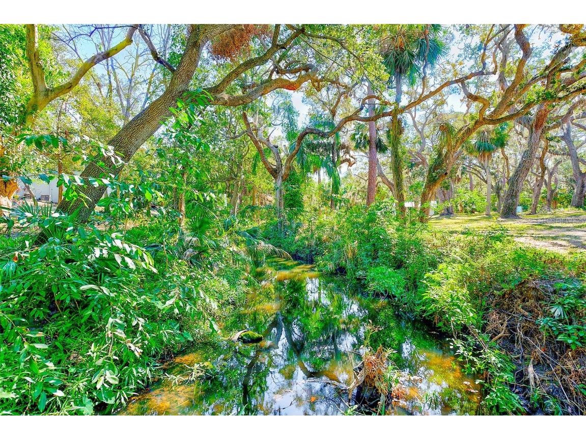 13450 Wilcox Road Largo FL 33774 TB8351260 image10