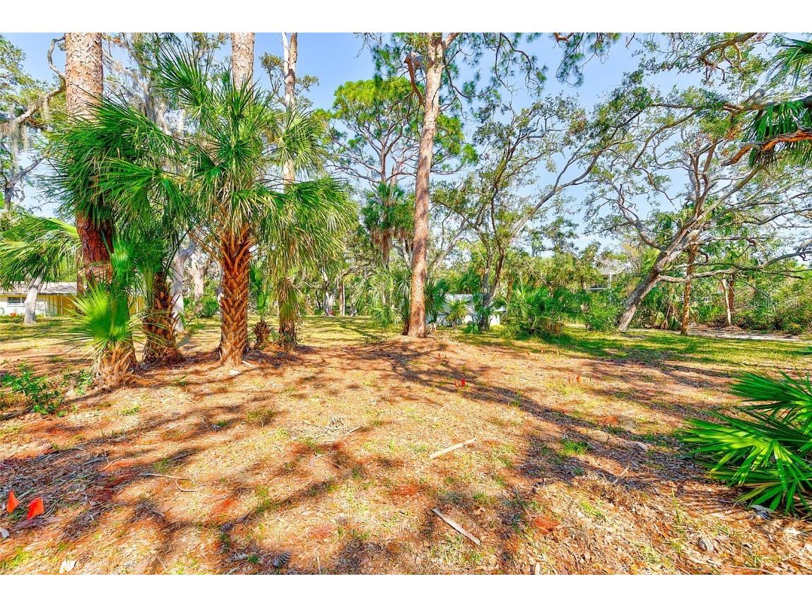 13450 Wilcox Road Largo FL 33774 TB8351260 image38