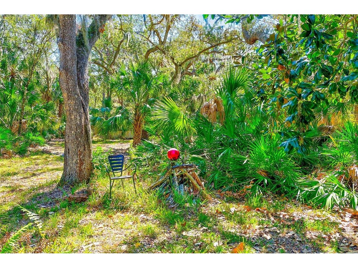 13450 Wilcox Road Largo FL 33774 TB8351260 image40