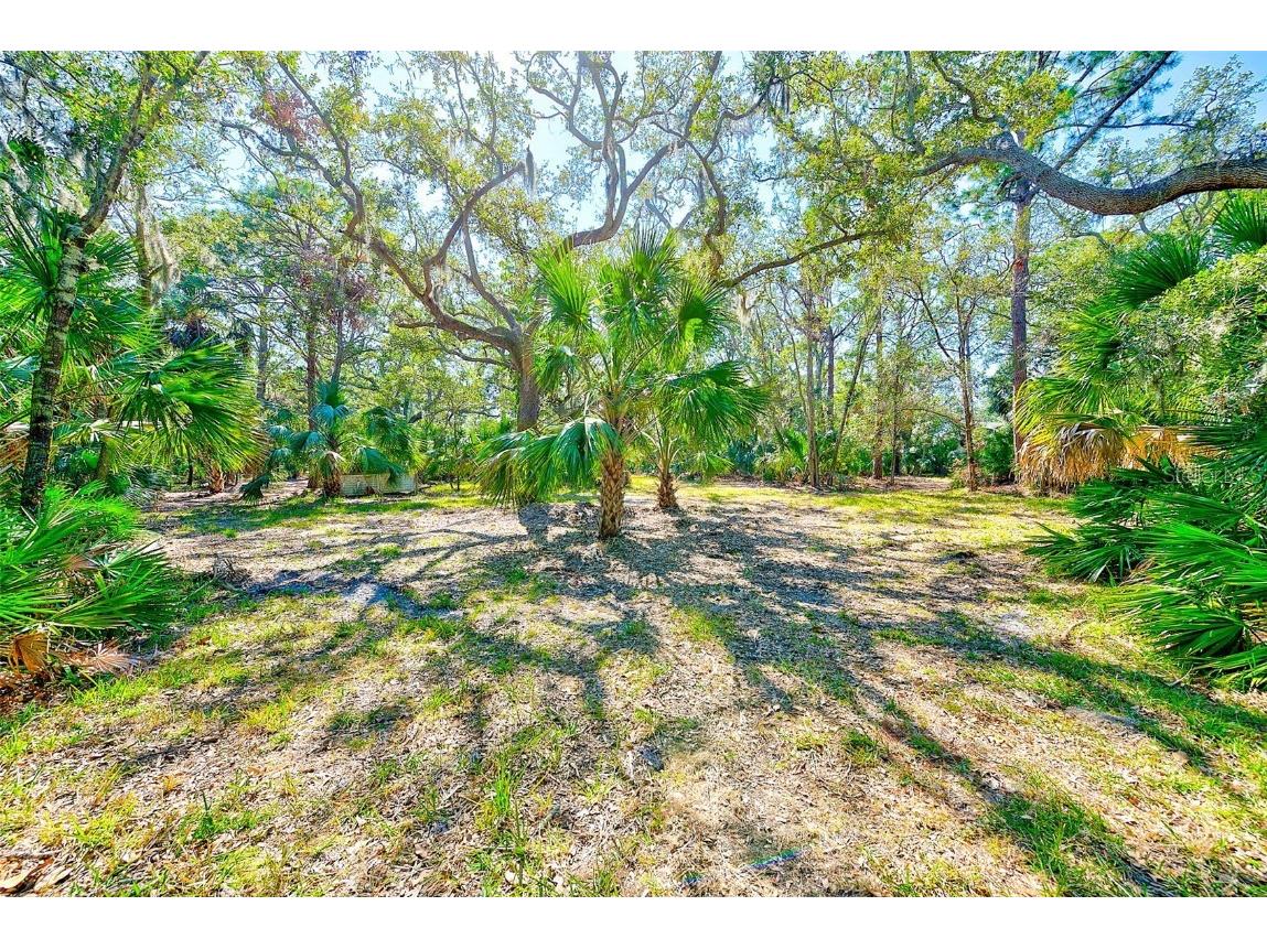 13450 Wilcox Road Largo FL 33774 TB8351260 image41