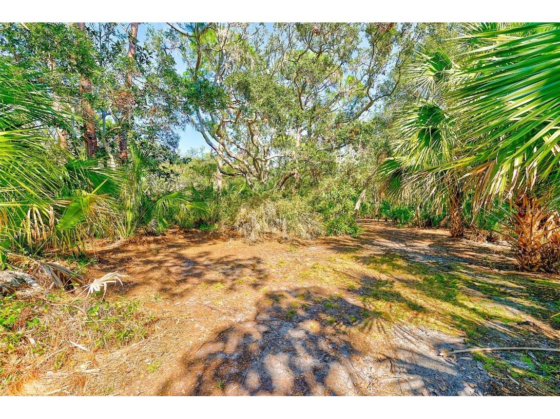 13450 Wilcox Road Largo FL 33774 TB8351260 image43