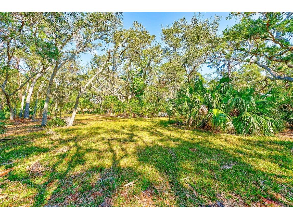 13450 Wilcox Road Largo FL 33774 TB8351260 image44