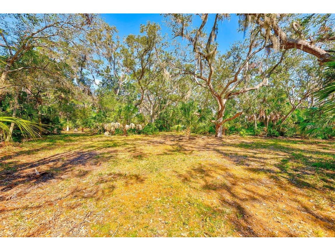 13450 Wilcox Road Largo FL 33774 TB8351260 image45