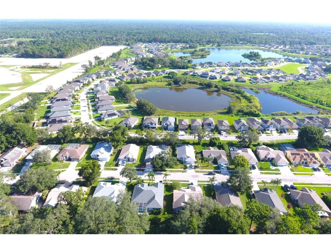 13451 Knotty Lane Hudson FL 34669 T3541832 image32