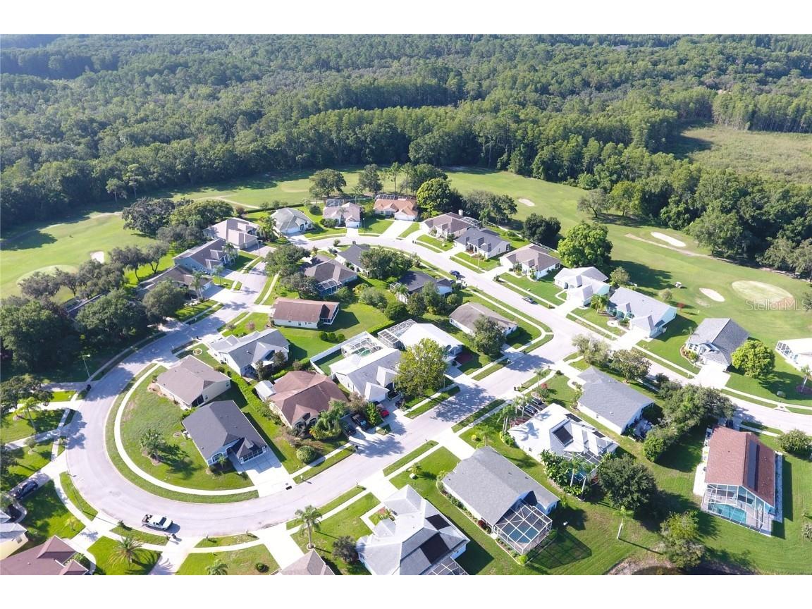 13451 Knotty Lane Hudson FL 34669 T3541832 image33