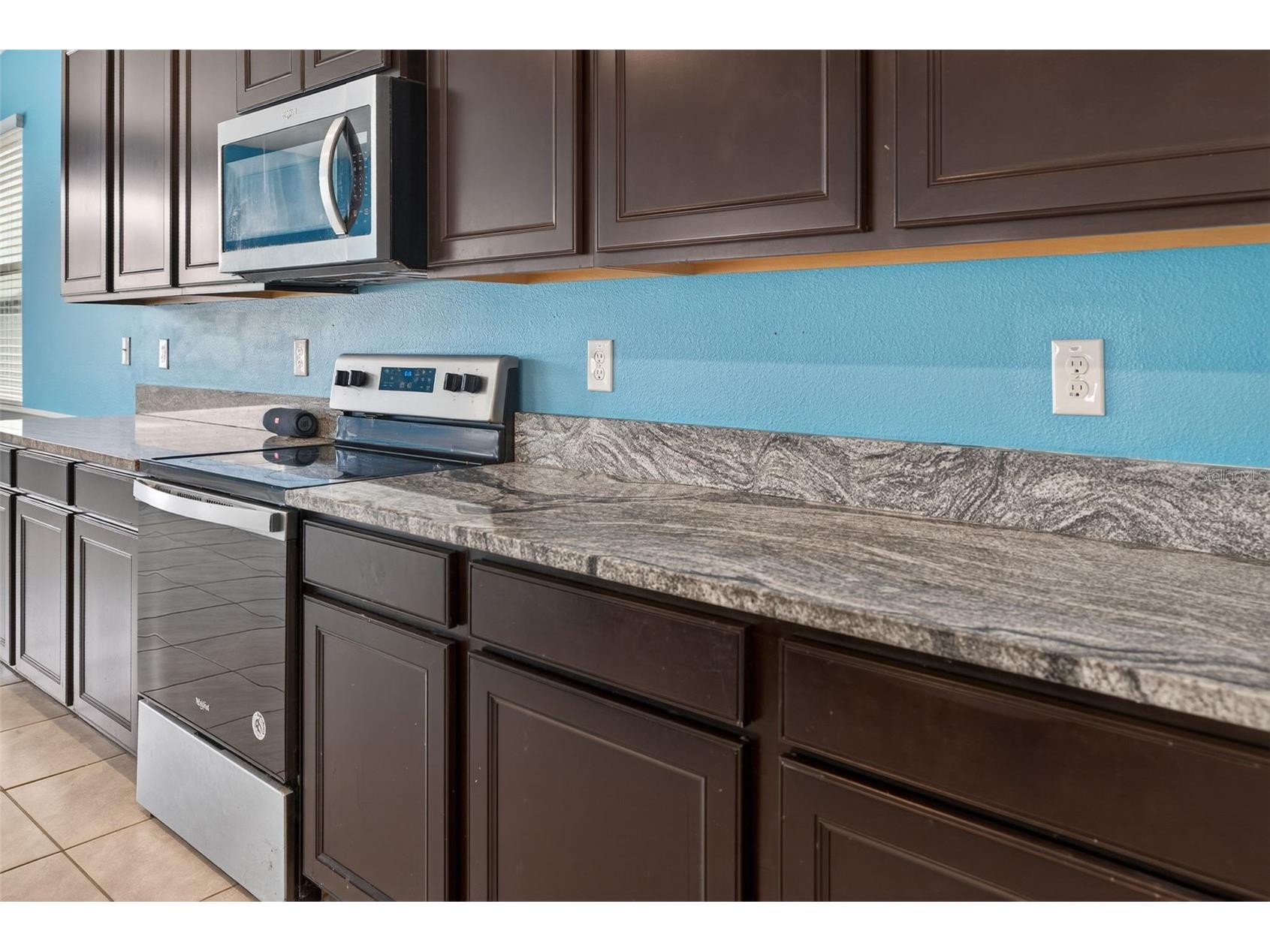13454 Golden Lime Avenue Spring Hill FL 34609 OM721075 image15