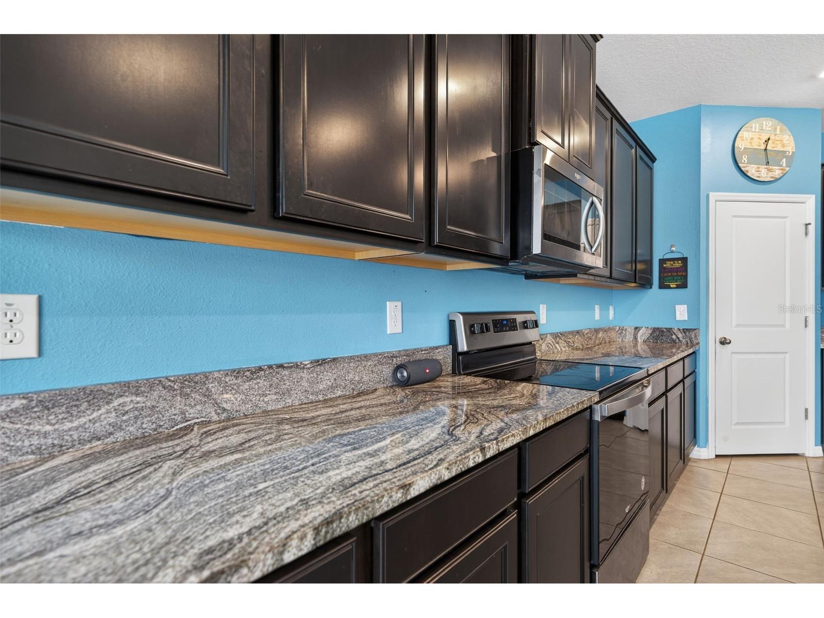 13454 Golden Lime Avenue Spring Hill FL 34609 OM721075 image19