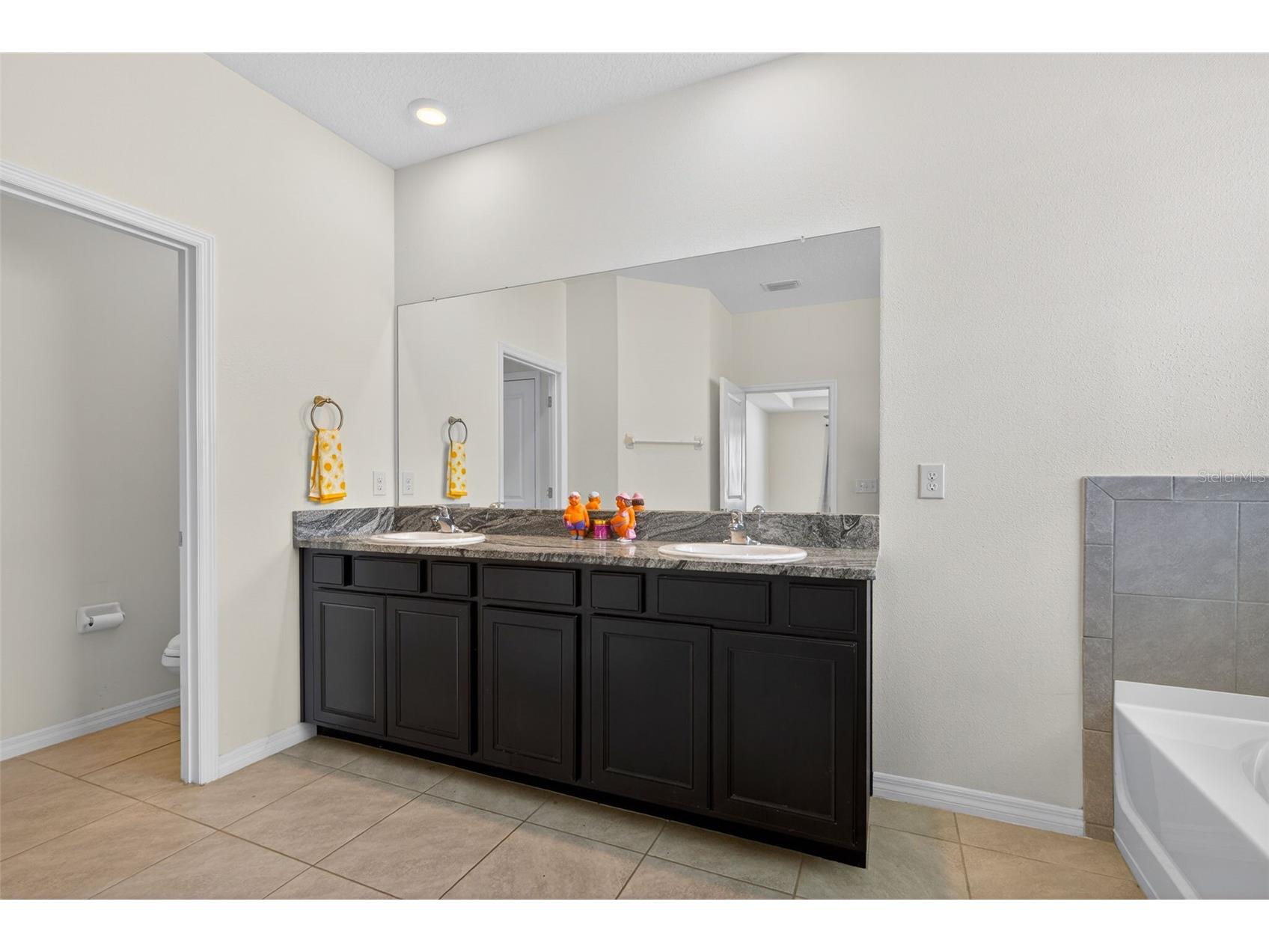 13454 Golden Lime Avenue Spring Hill FL 34609 OM721075 image27