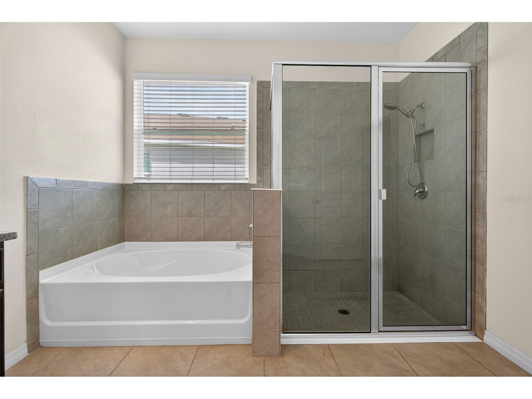 13454 Golden Lime Avenue Spring Hill FL 34609 OM721075 image28
