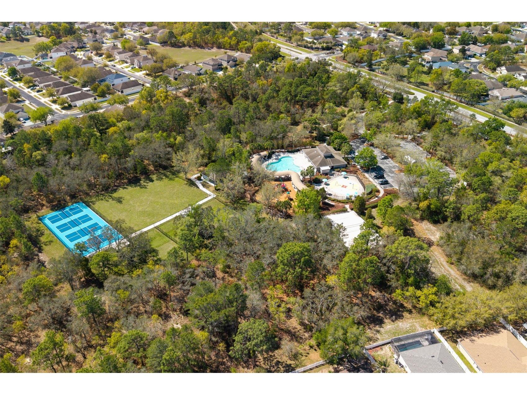 13454 Golden Lime Avenue Spring Hill FL 34609 OM721075 image56