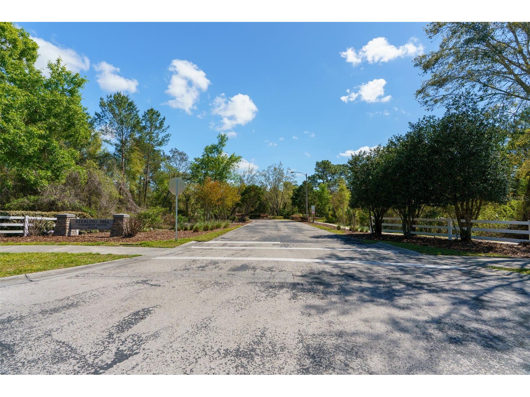 13454 Golden Lime Avenue Spring Hill FL 34609 OM721075 image62