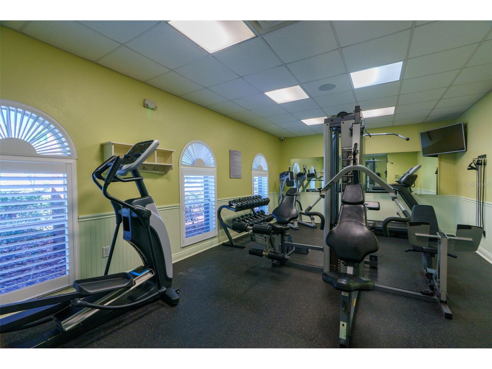 13454 Golden Lime Avenue Spring Hill FL 34609 OM721075 image65