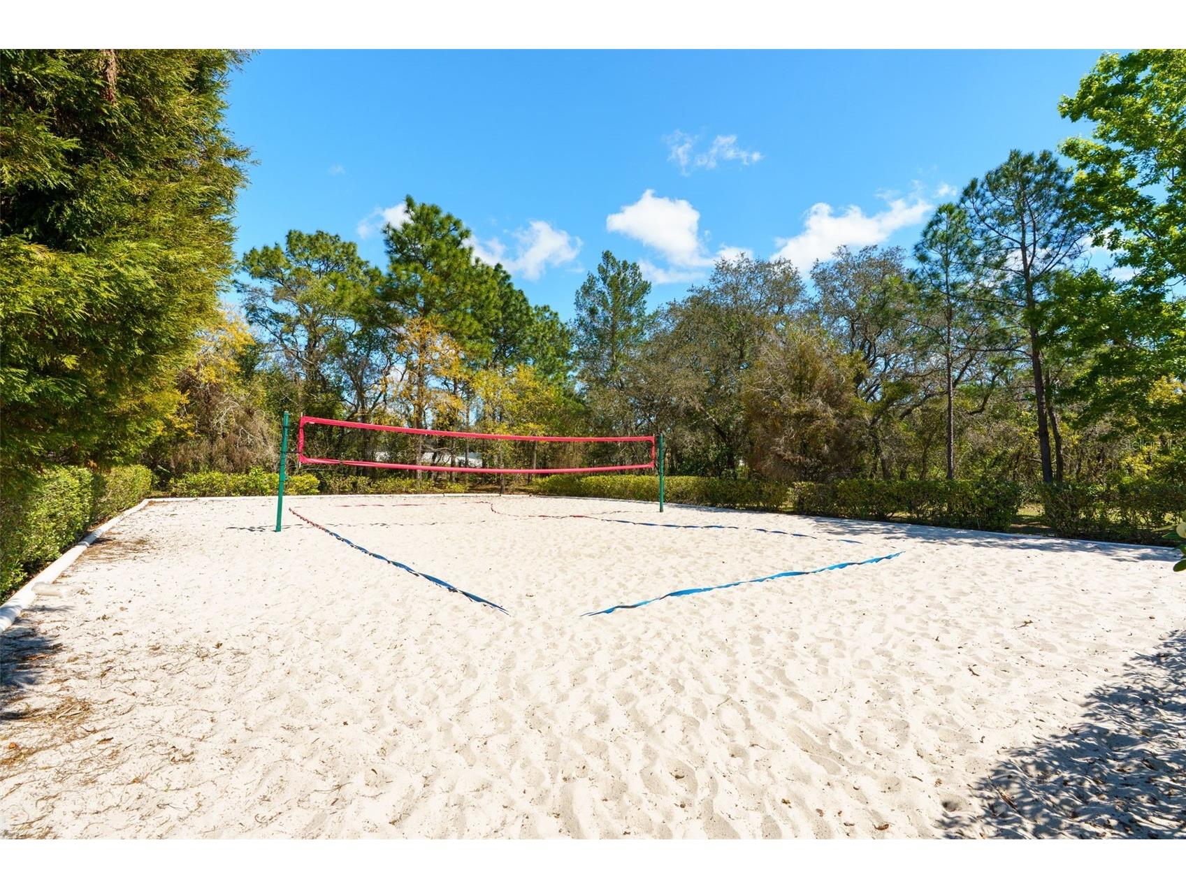 13454 Golden Lime Avenue Spring Hill FL 34609 OM721075 image69