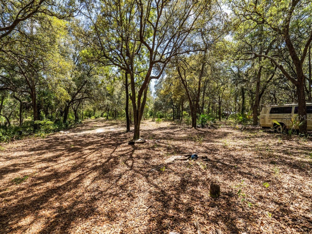 13455 NE 228th Lane Road Fort Mc Coy FL 32134 OM699065 image39